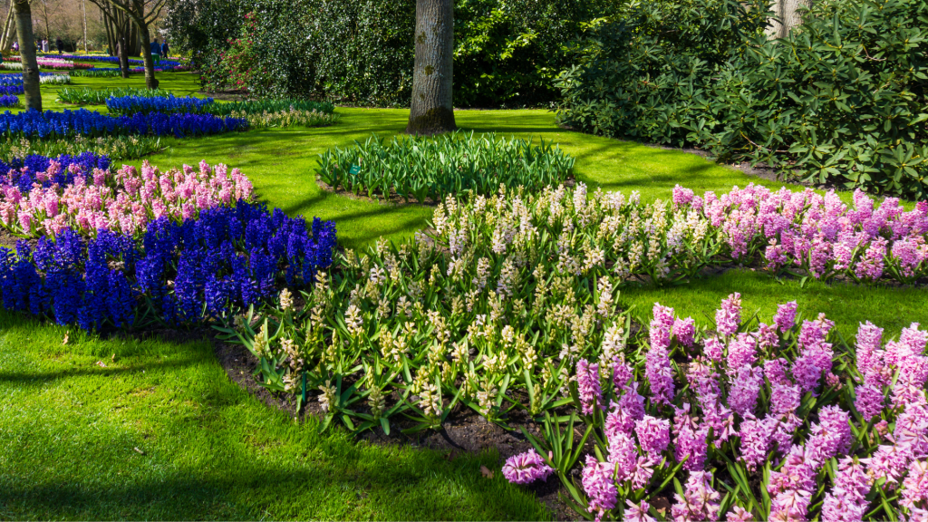 Paisajistas zaragoza - Jardín